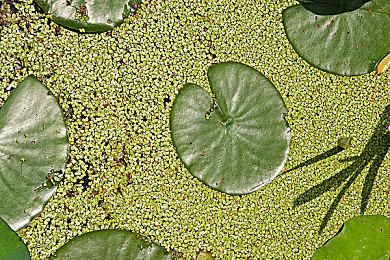 Fami通新一周销量榜 《双人成行》入榜