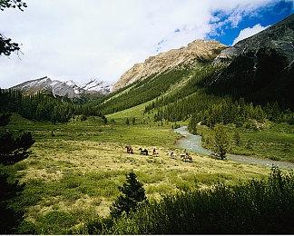 外媒评选圣诞期间值得游玩的游戏 《老滚5》在列