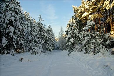 《喋血复仇》Steam在线玩家不及12年前的《求生之路2》